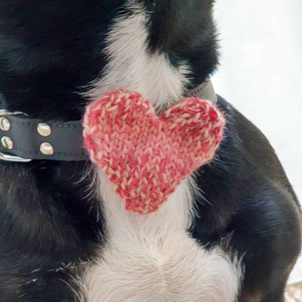 Love Heart : Large Dog - Wool & Water