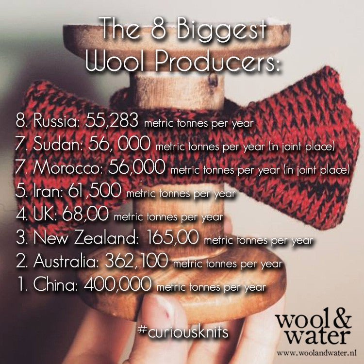 Who Knew!? - Wool & Water