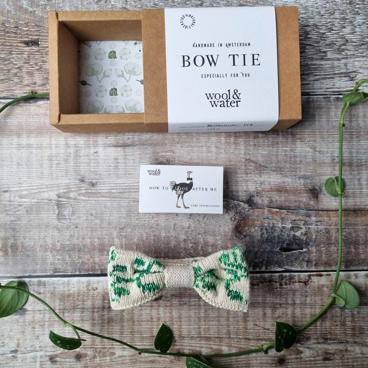 Green Ivy Bow Tie - Wool & Water
