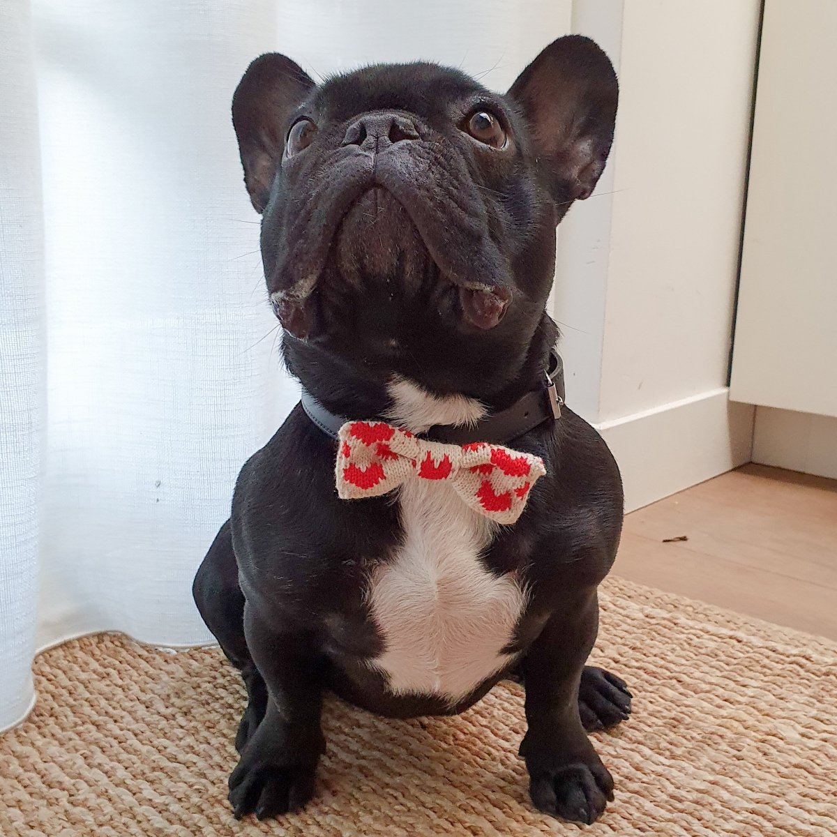 The Love Hearts Bow Tie : Small - Medium Dog - Wool & Water